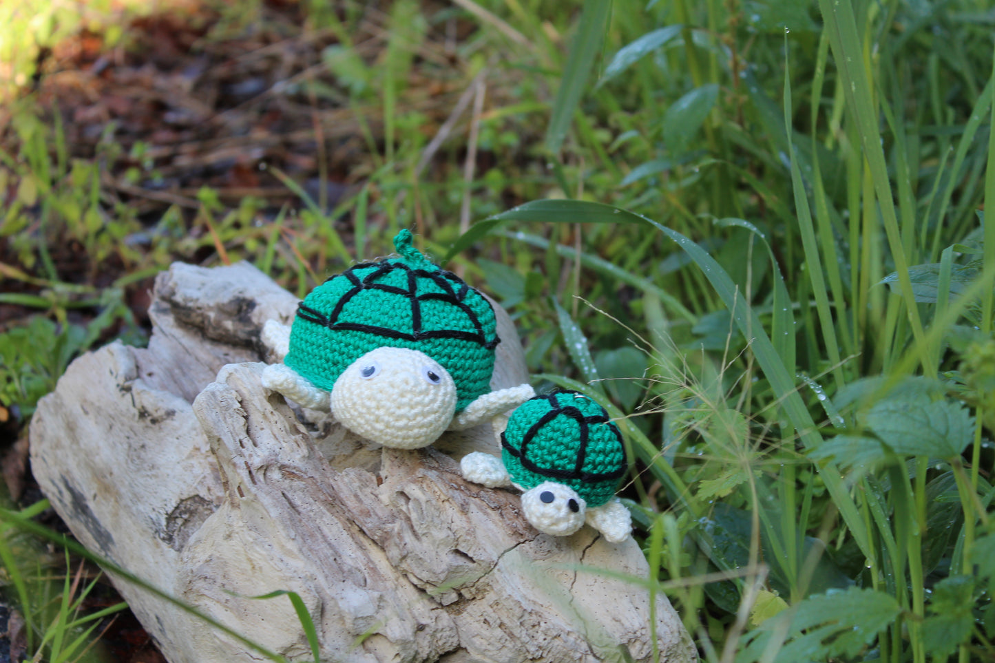 Tartarughe