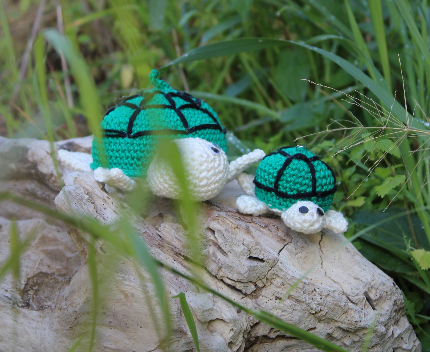Tartarughe