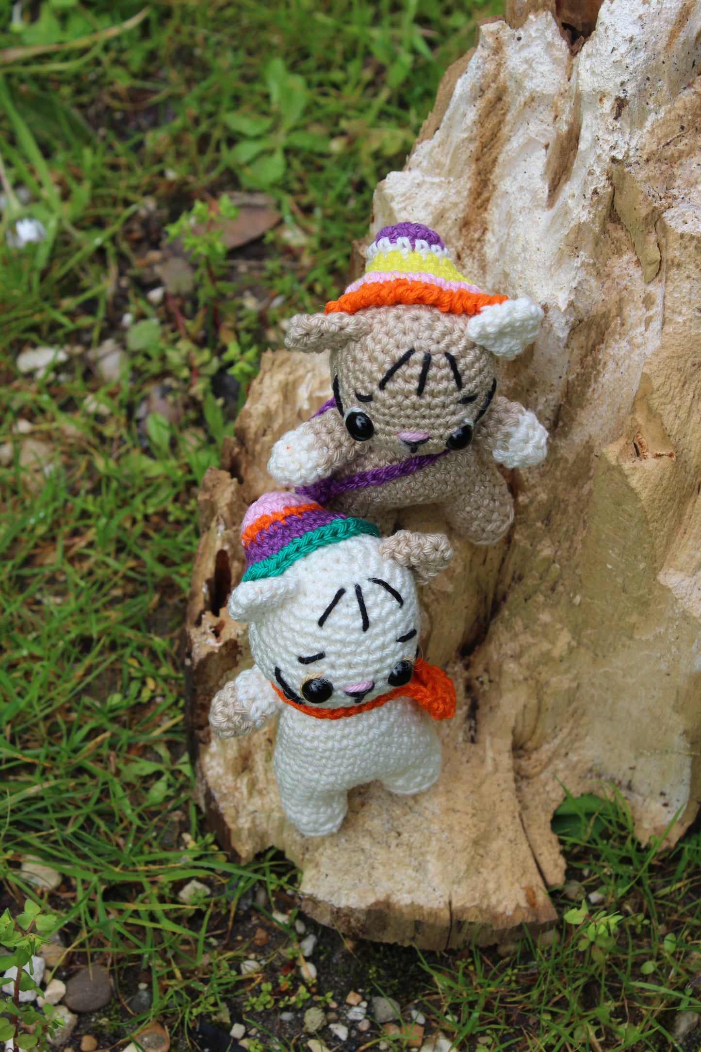 Gattino con borsetta e cappello