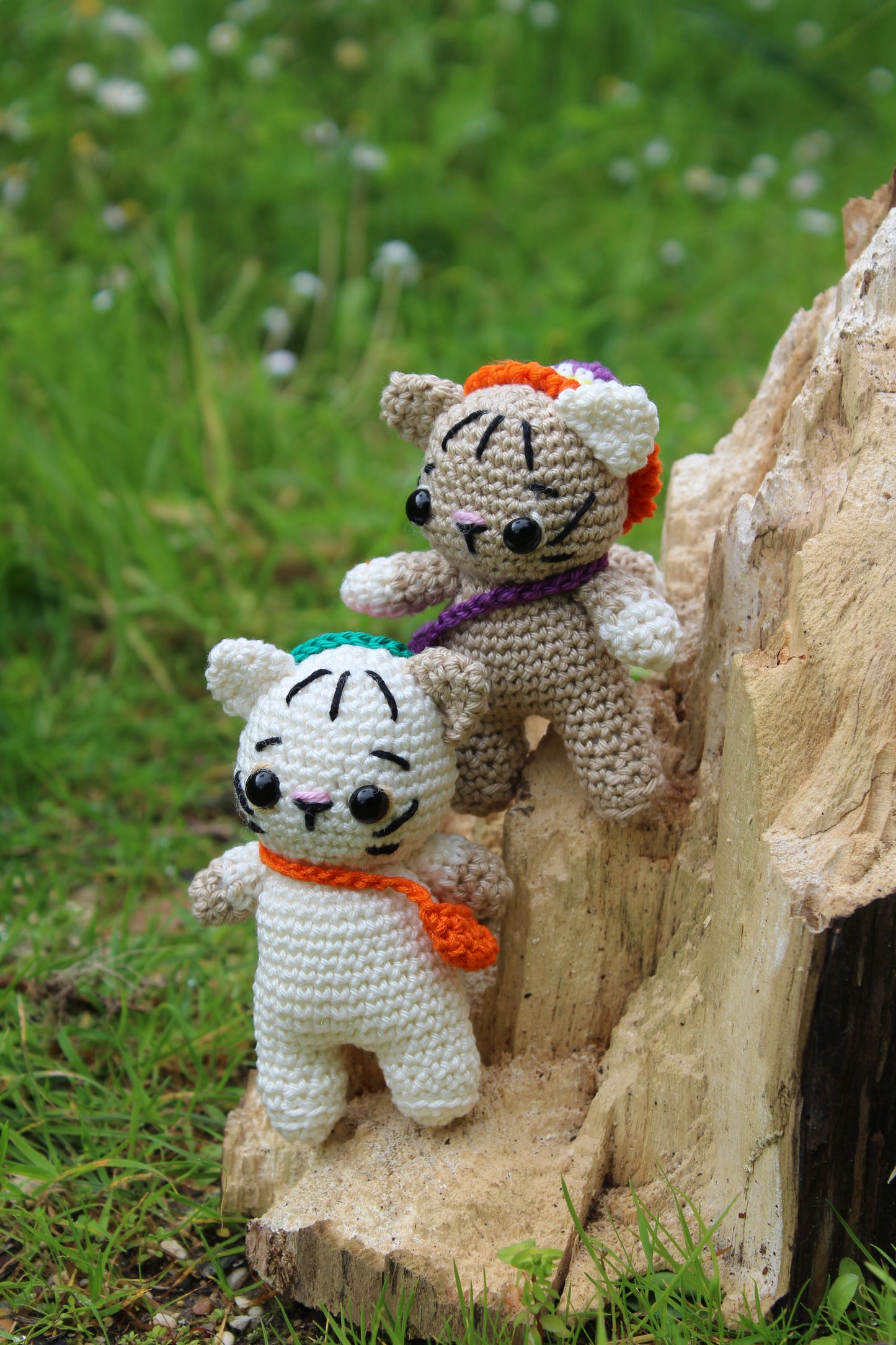 Gattino con borsetta e cappello