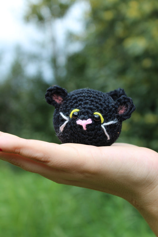Gattino Panciuto Nero